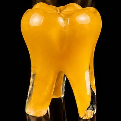 Glass Tooth - Orange Enamel