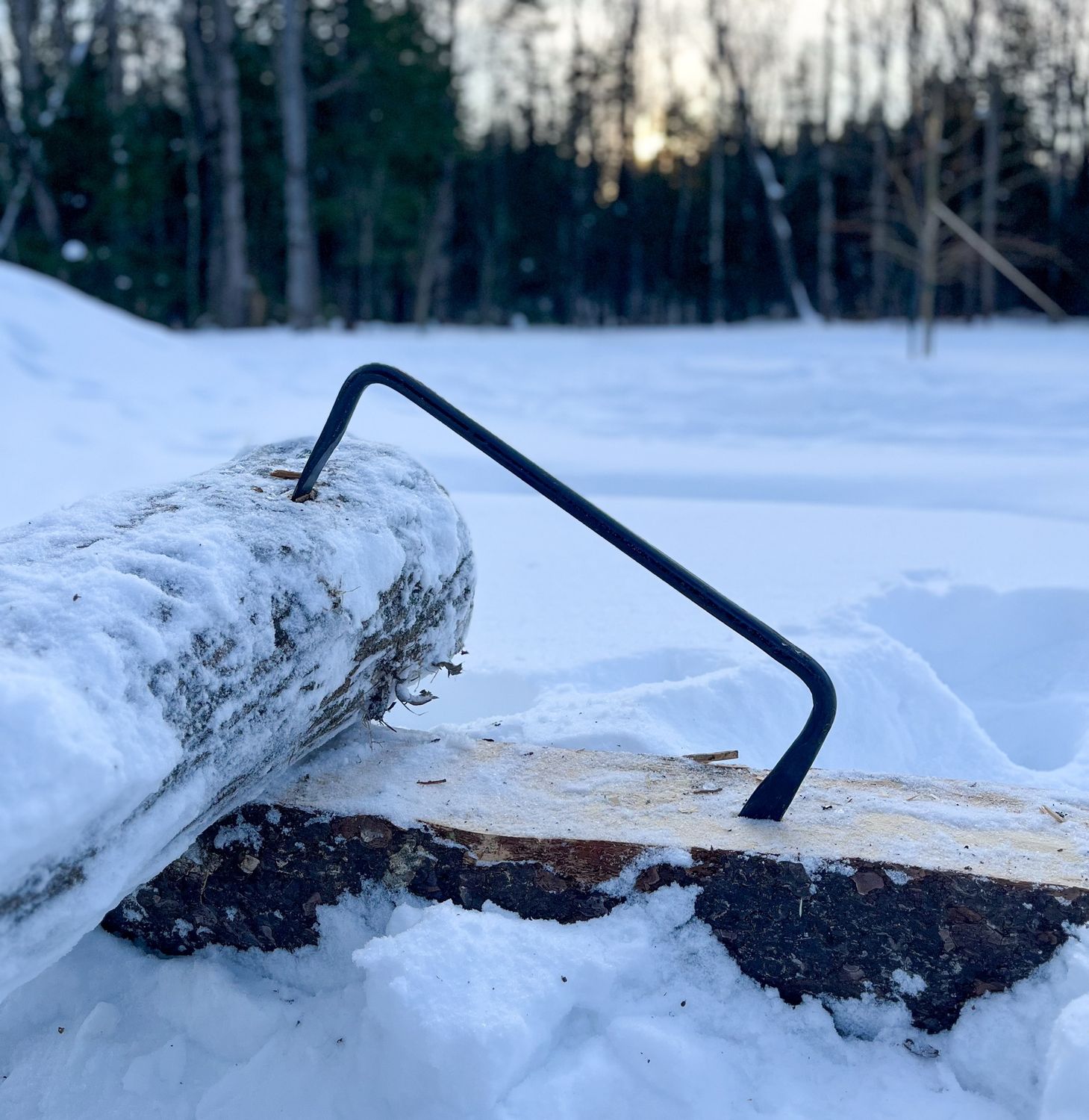 Long forged Log Dog with perpendicular ends - BR Rinaldi