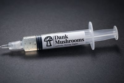 Turkey Tail Liquid Culture Syringe