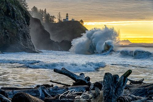 KINGS TIDE - New! Its here and BLOWING out your old wine beach front!