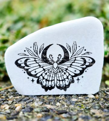 Moths &amp; Night Flyers