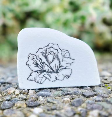 Timeless Rose