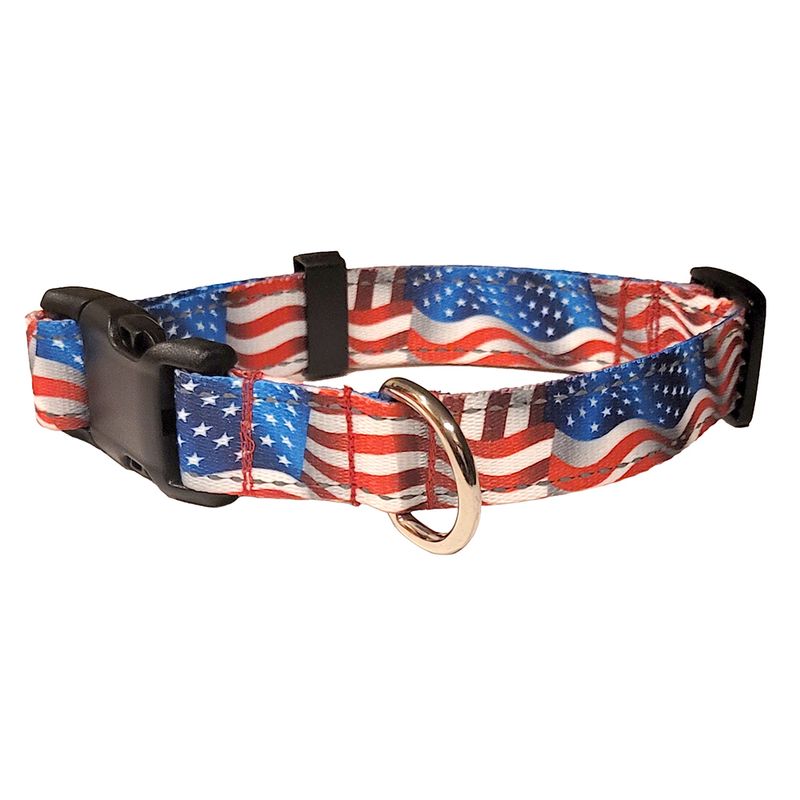 1-Inch Reflective Dog Collar: American Flag