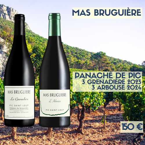 6 bouteilles Panaché de PIC Mas Bruguière (150€)