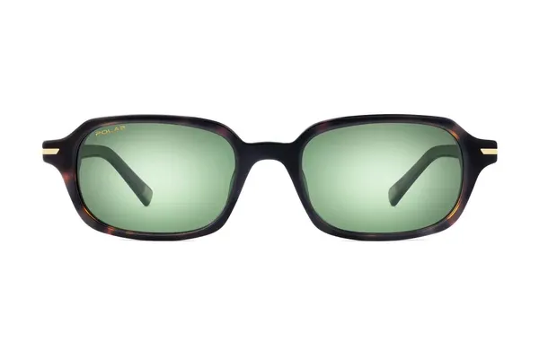 POLAR GOLD 3038 SUN COL. 428/G