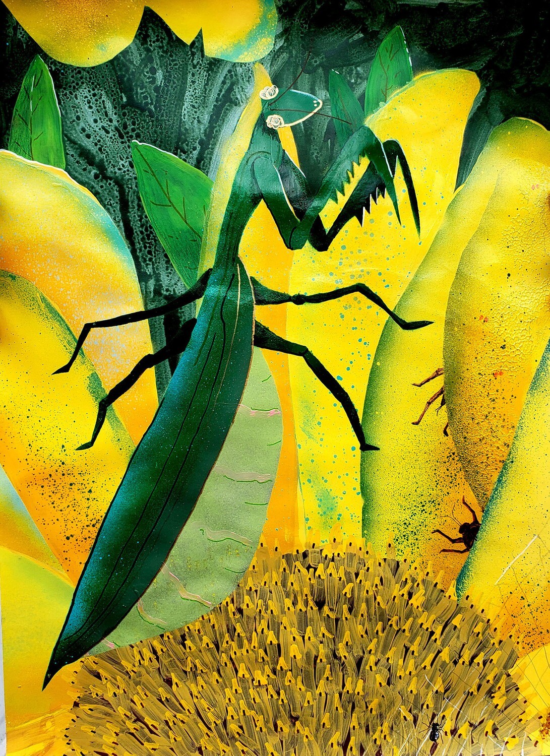 Grasshopper