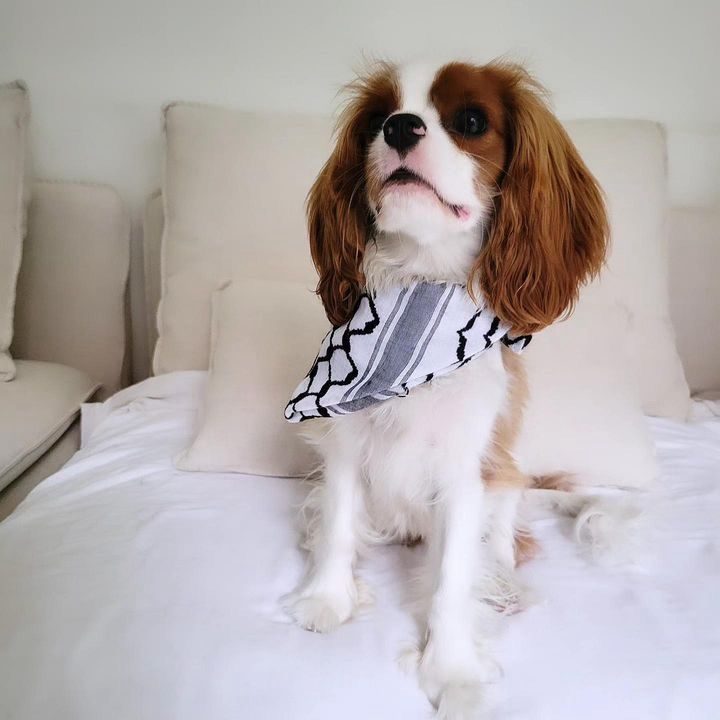 Mini Classic Keffiyeh