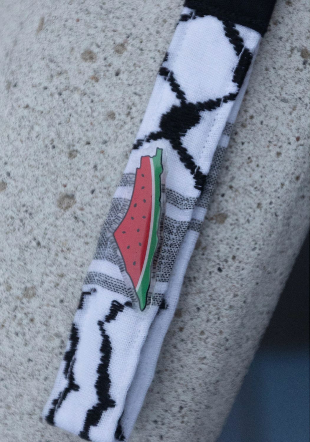 Watermelon Pin