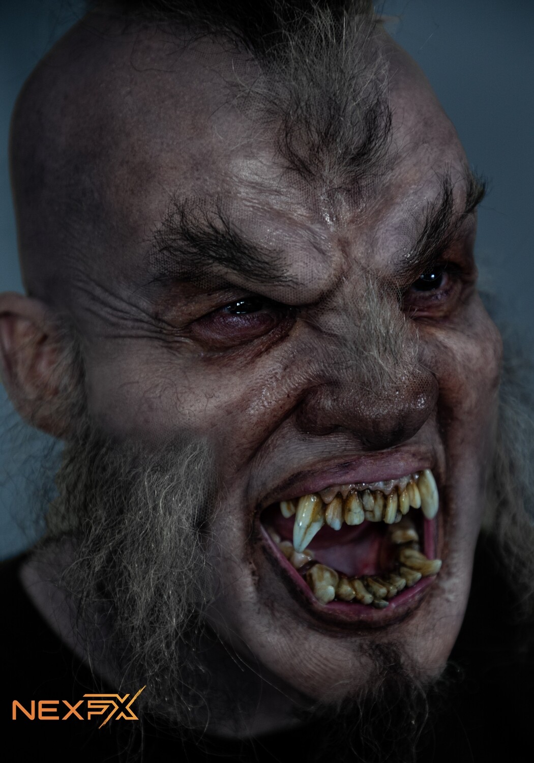Lobo Lobo
