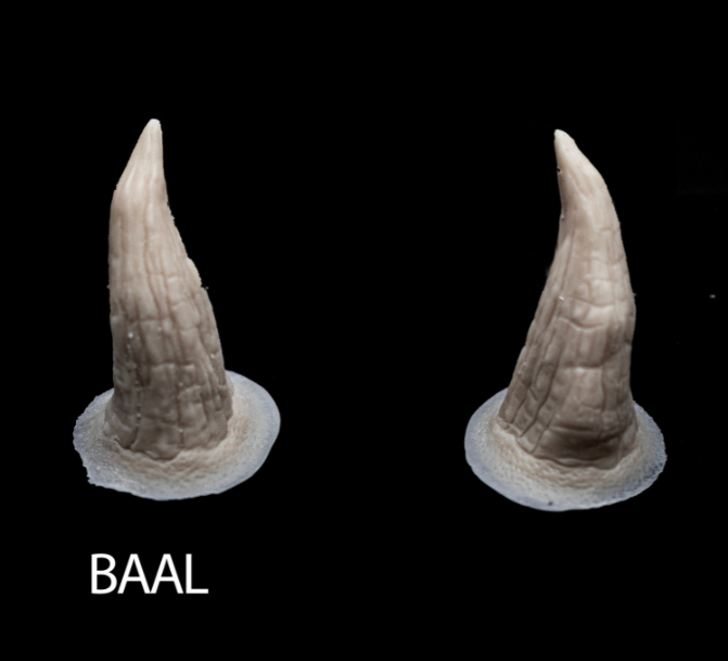 BAAL