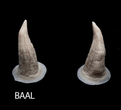 BAAL