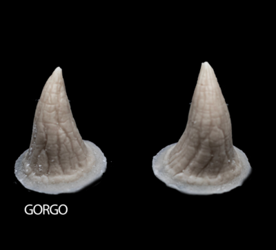 GORGO