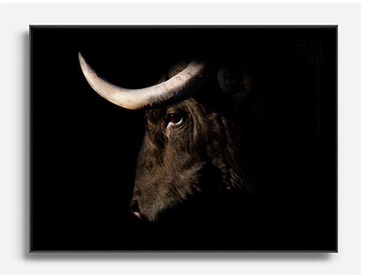 Porteur de Lune