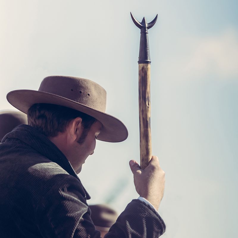 Gardian trident, Camargue