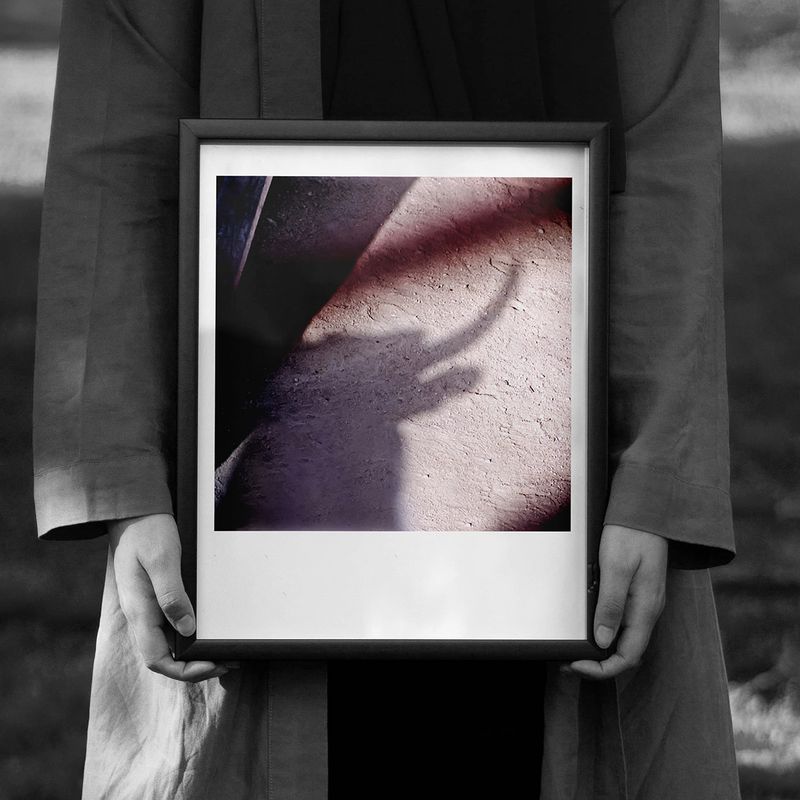 Ombre taureau, Camargue