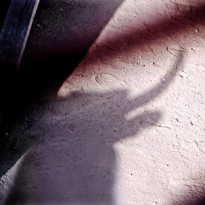 Ombre taureau, Camargue