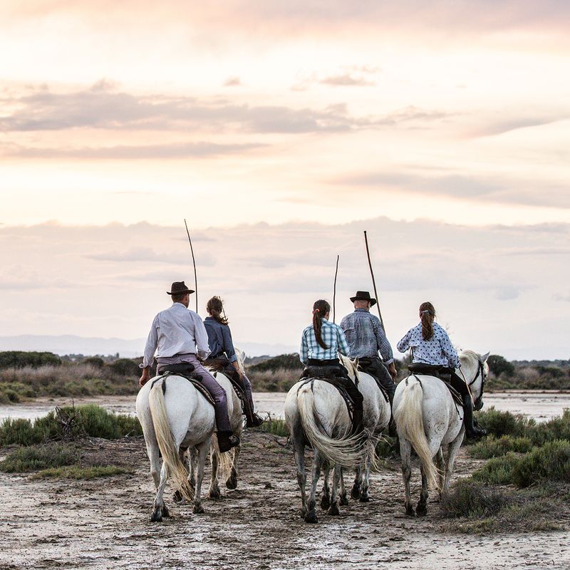 Gardians, Camargue