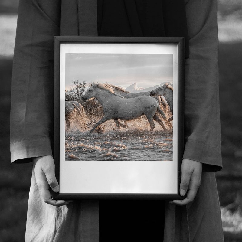 Camarguais marais, Camargue