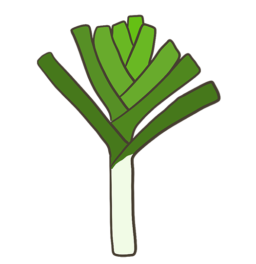 Telsing Everlasting Leek