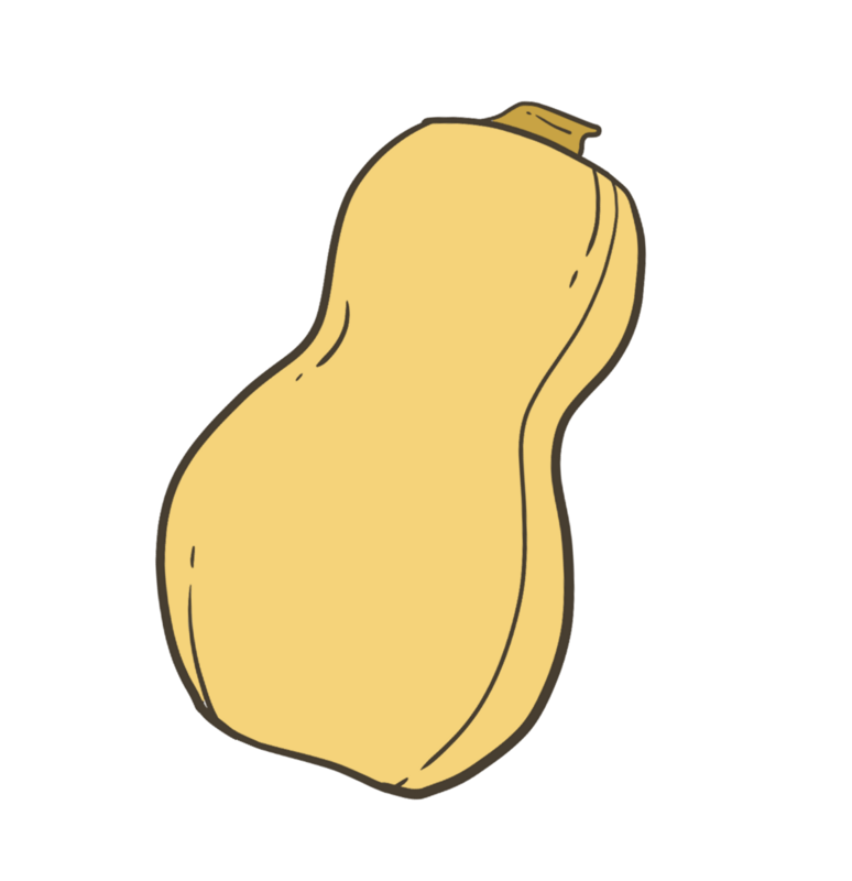 Butternut squash