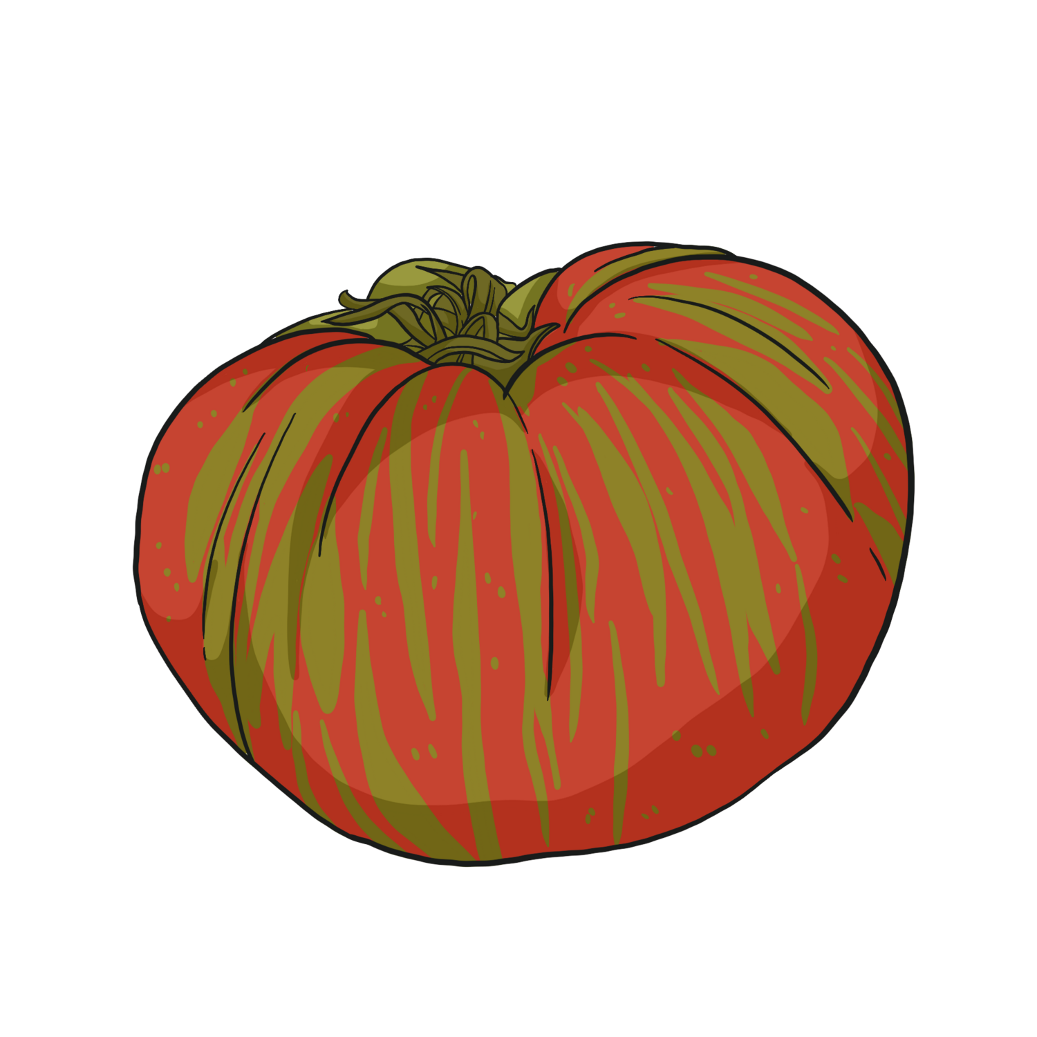 Pink Berkeley Tomato