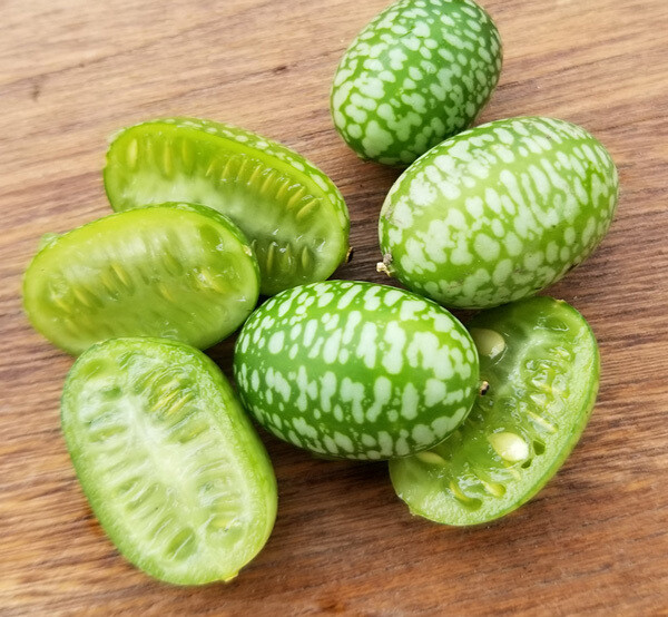 Cucamelon (Mouse Melon) pepquinos