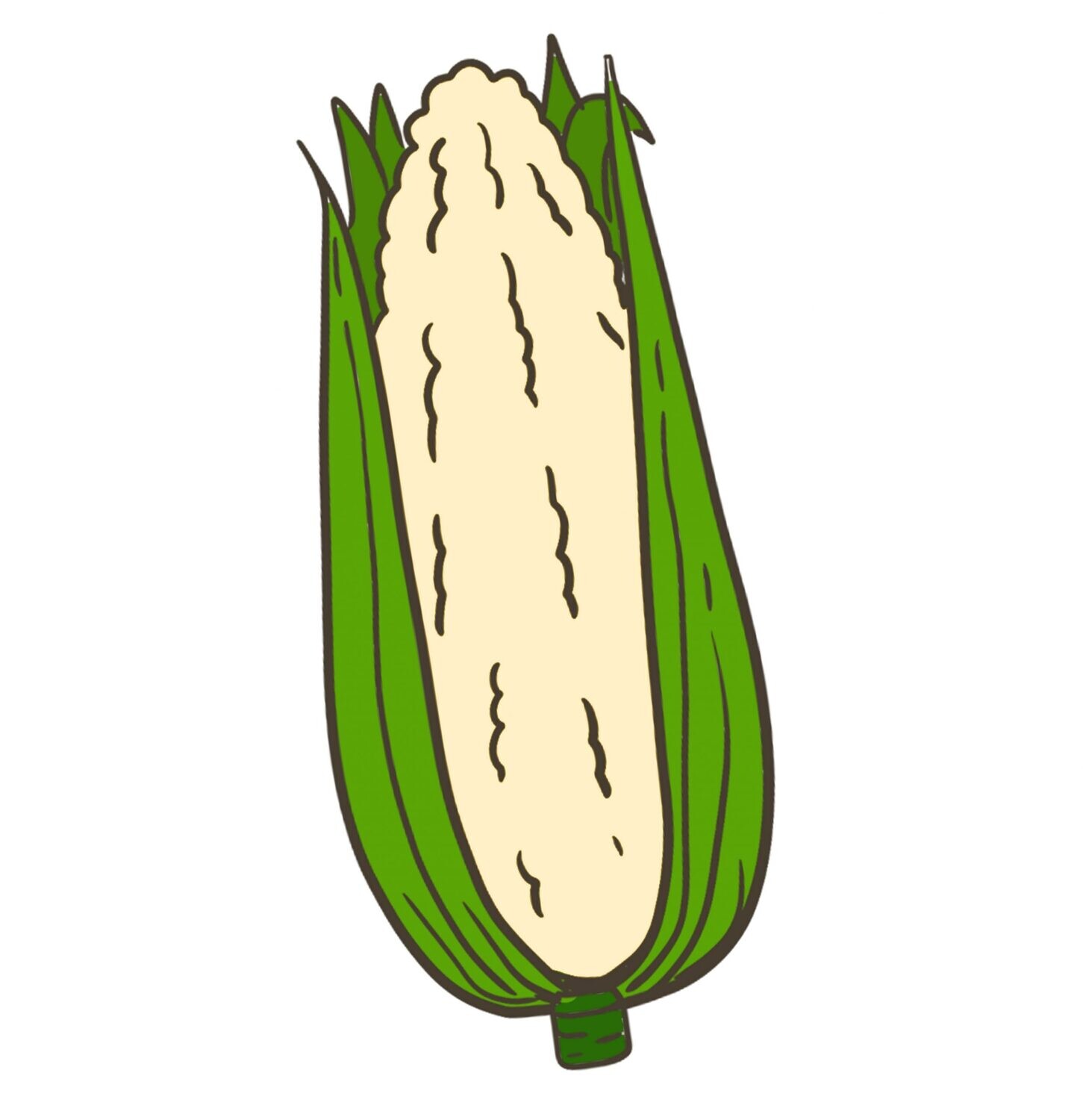 White Mohawk Corn