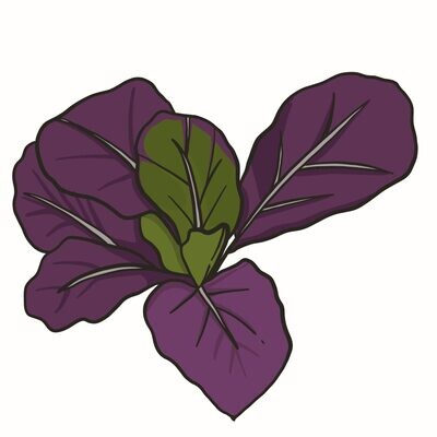 Osaka Purple Mustard