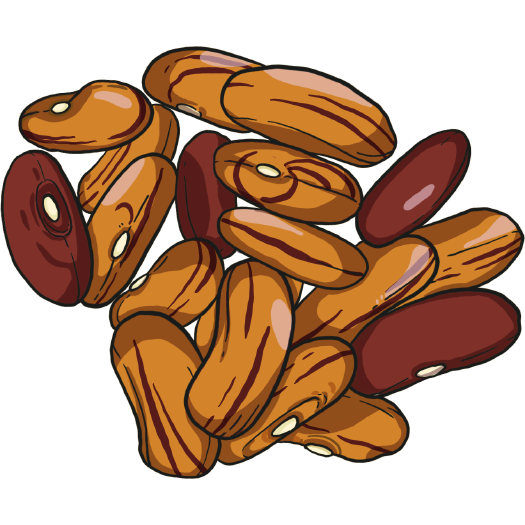 Tiger Eye Pepa de Zapallo bush bean