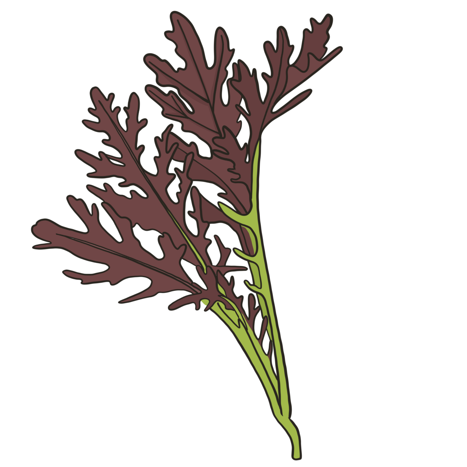 Ruby Streaks Mustard