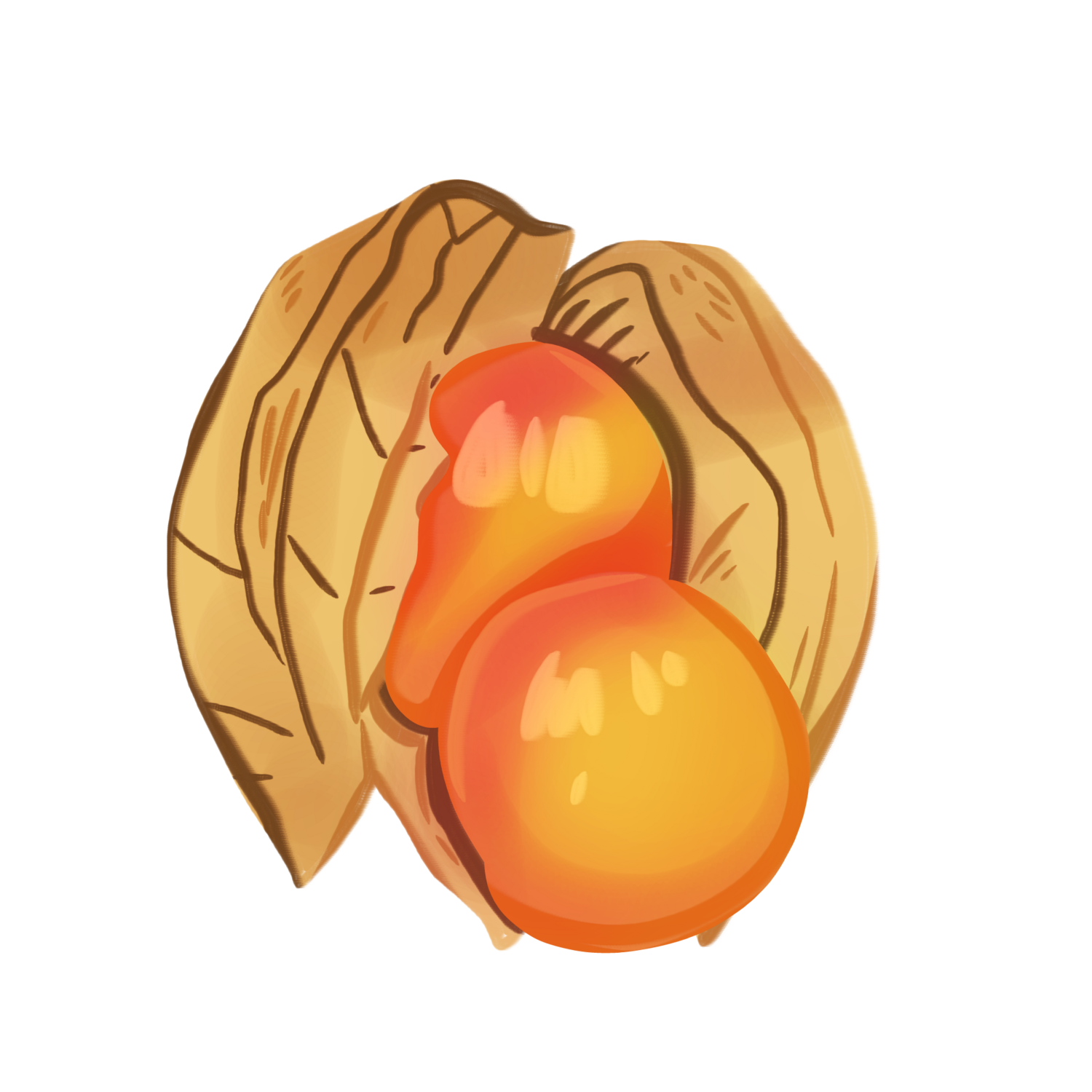 Indian Strain Tomatillo