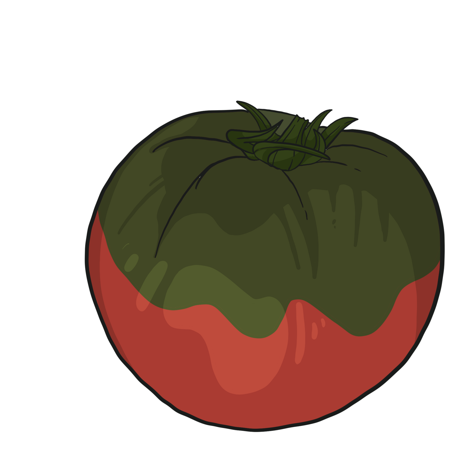 Black Sea Man Beefsteak Tomato