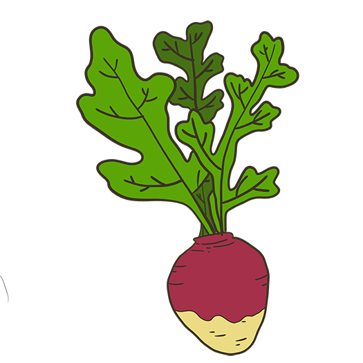 Rutabaga Joan