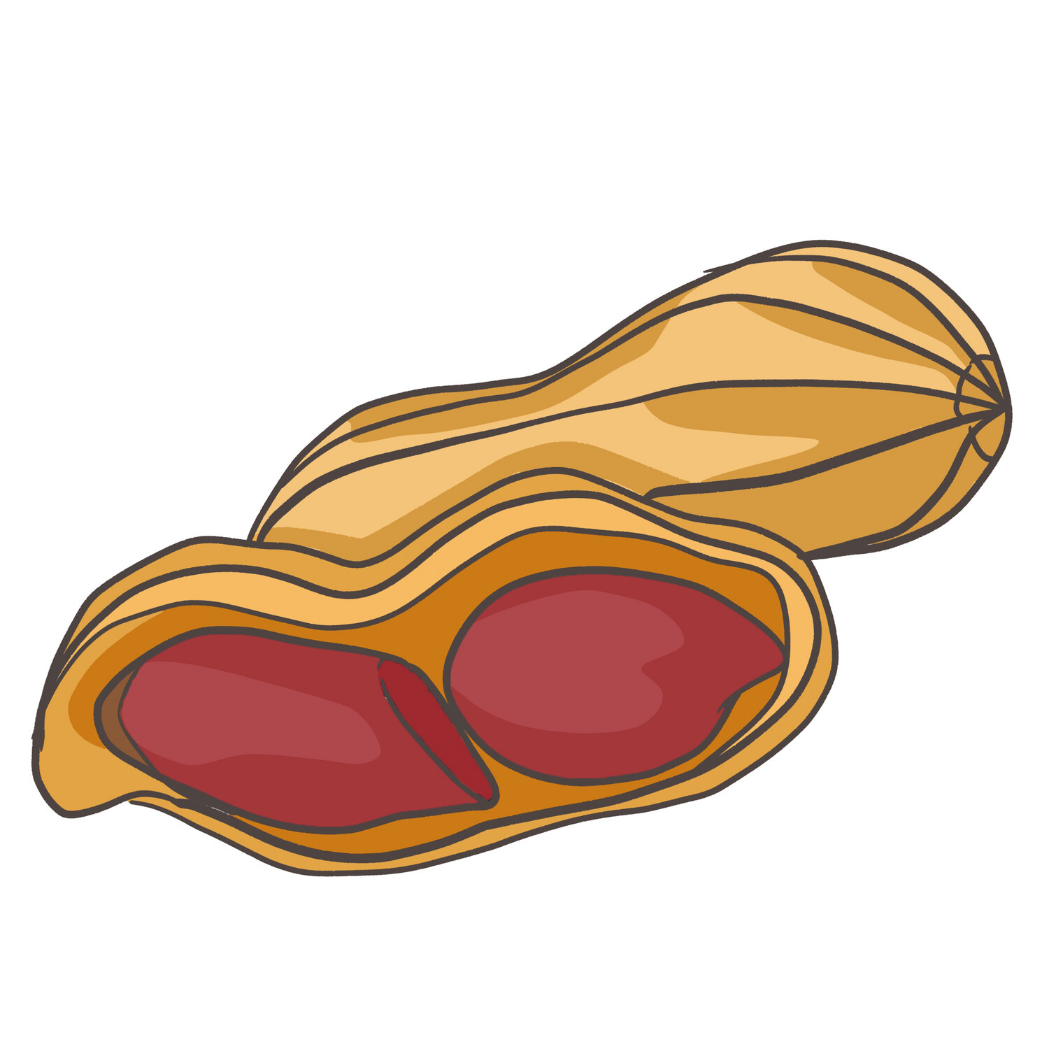 Valencia peanut