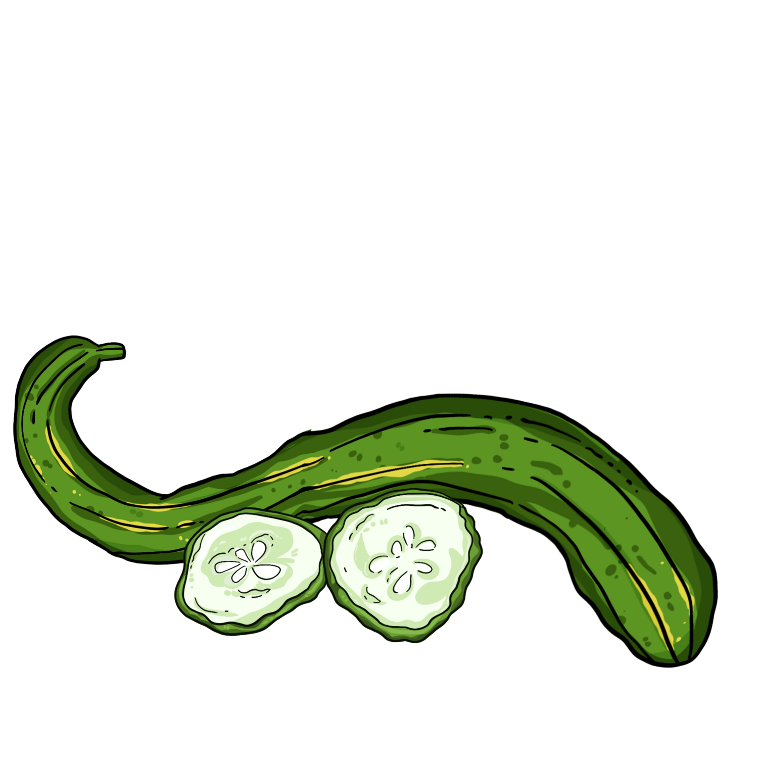 Suyo Long Cucumber