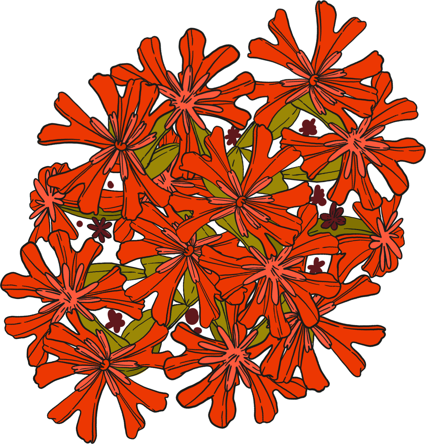 Jerusalem or Malta Cross flower