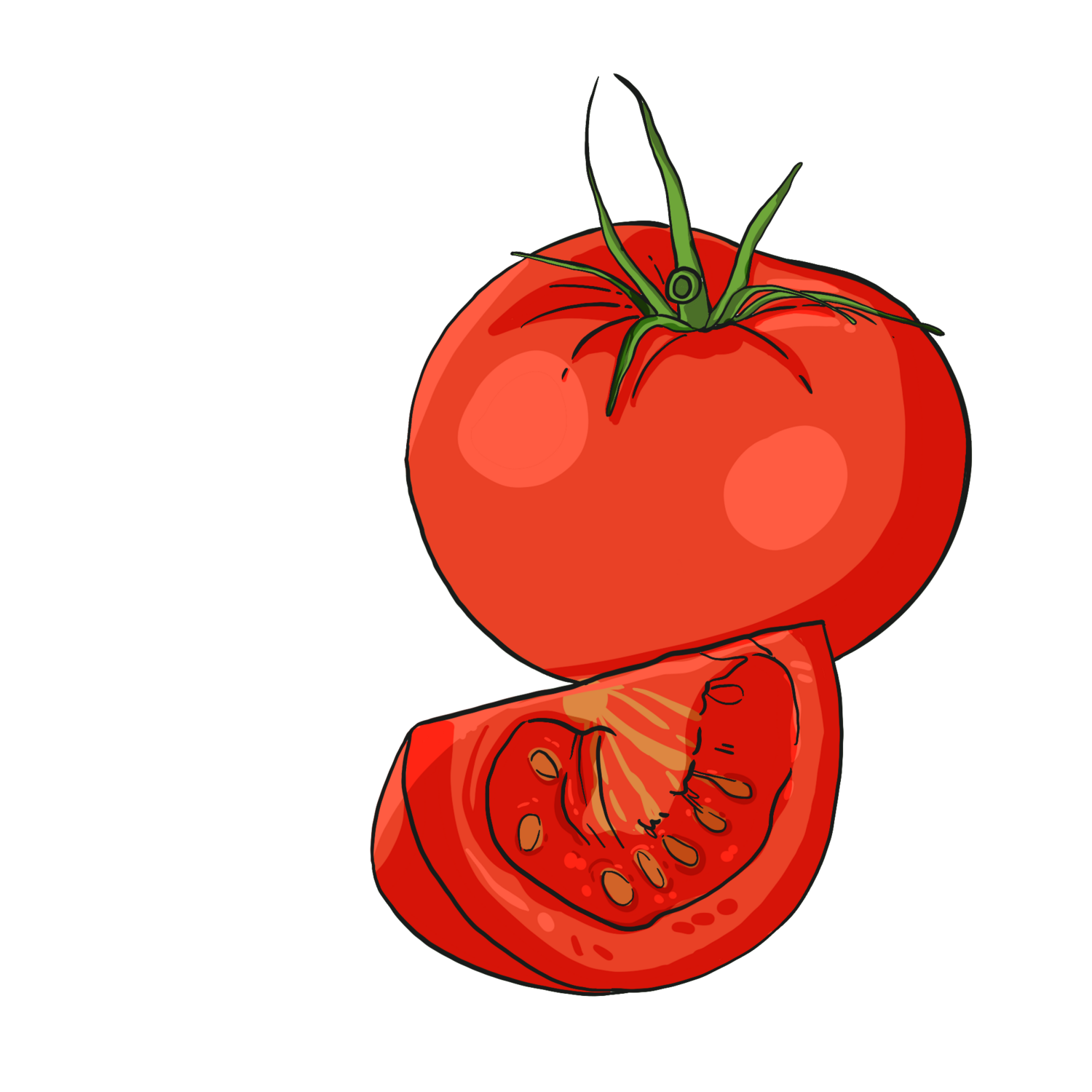 Tondo Liscio Tomato