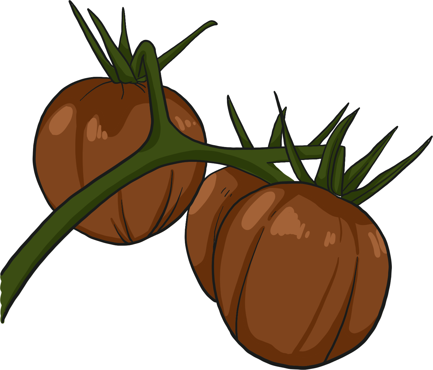 Black Cherry Tomato