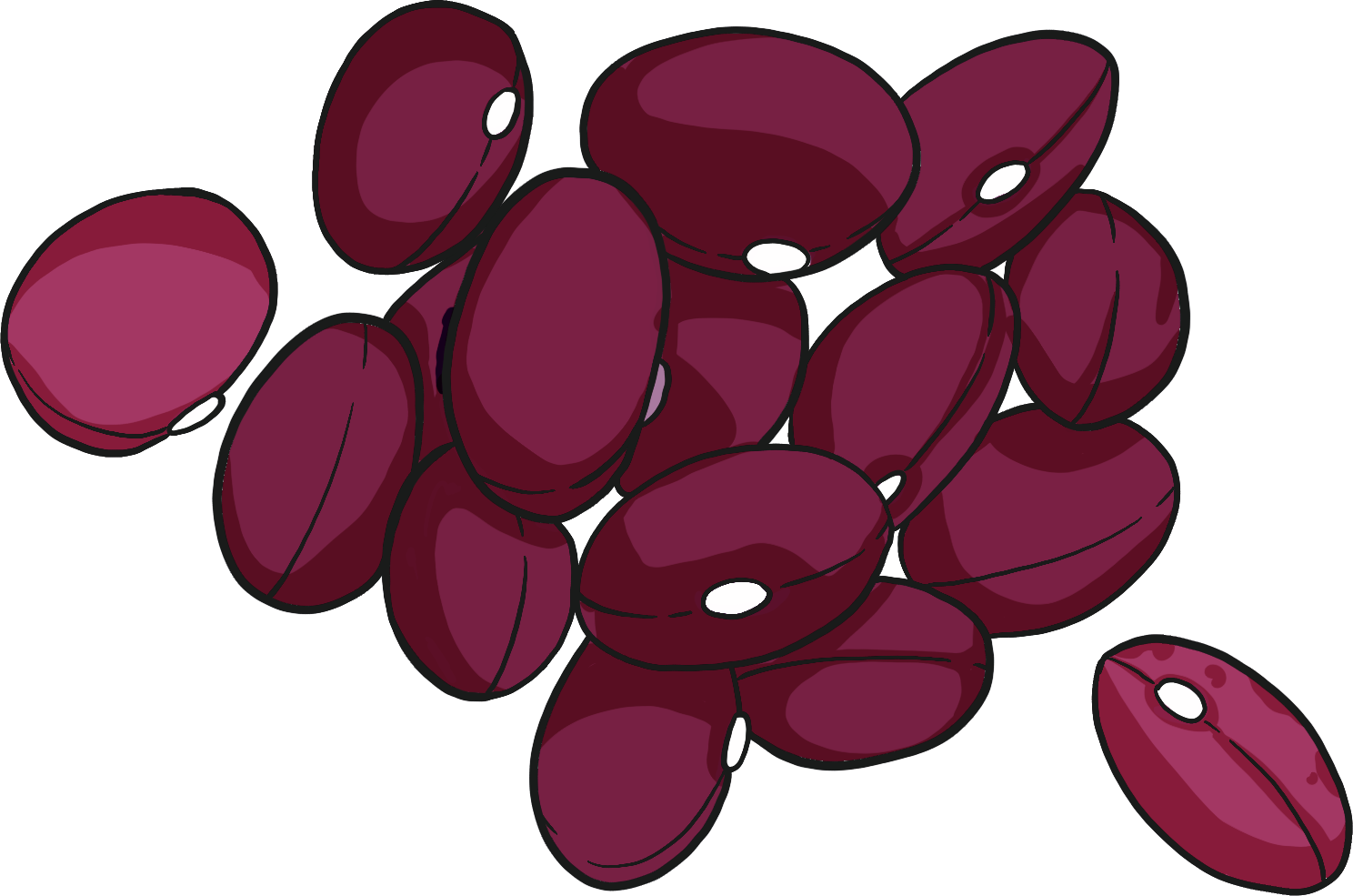 Hidatsa Red 1/2 climbing bean