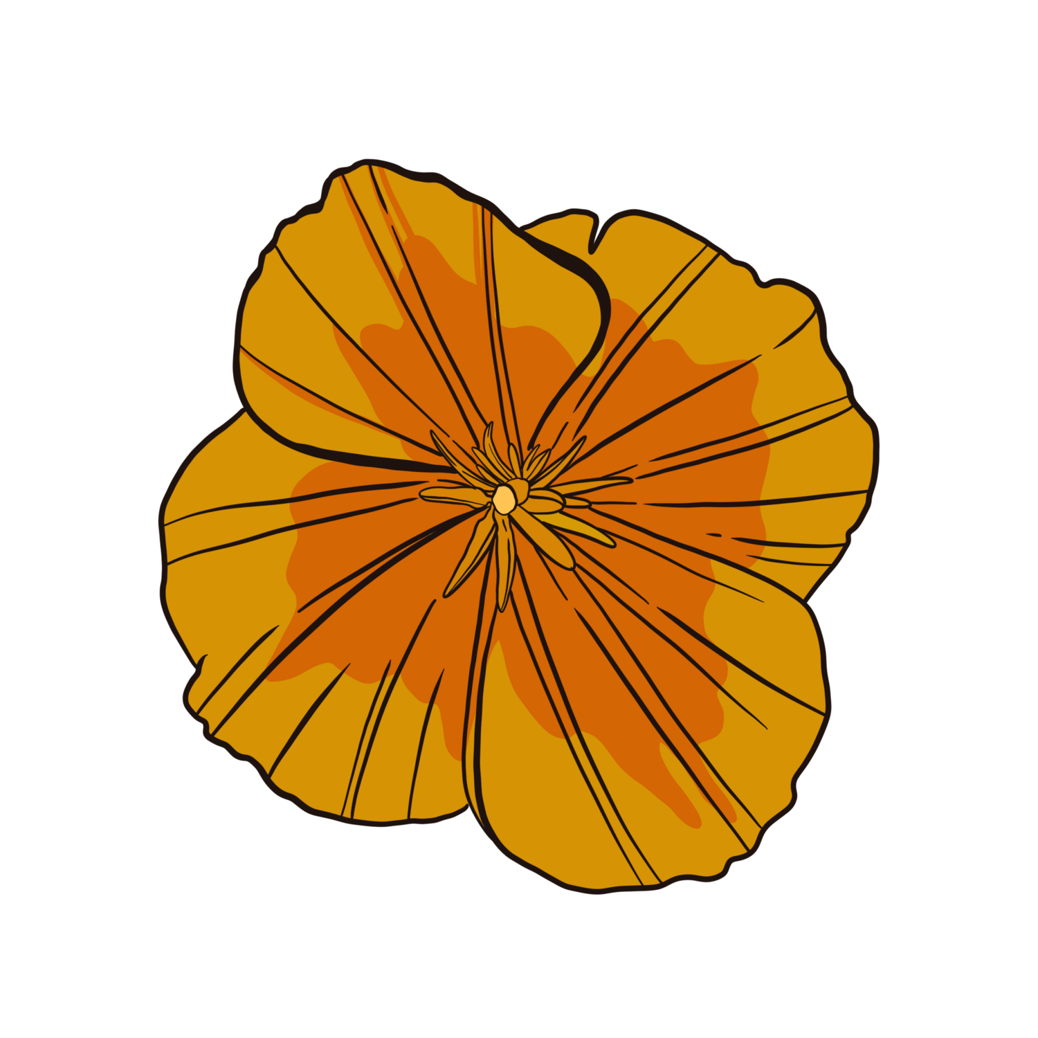 California Orange Poppy