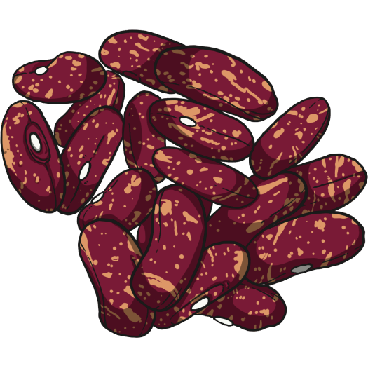 King of the Early Bean