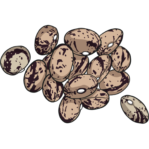Robin Egg pole beans