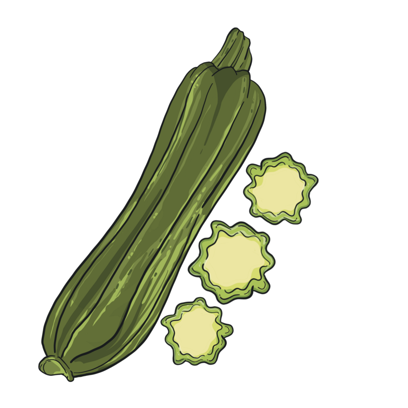 Courgette Costata Romanesco