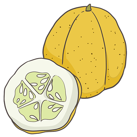Lemon Cucumber