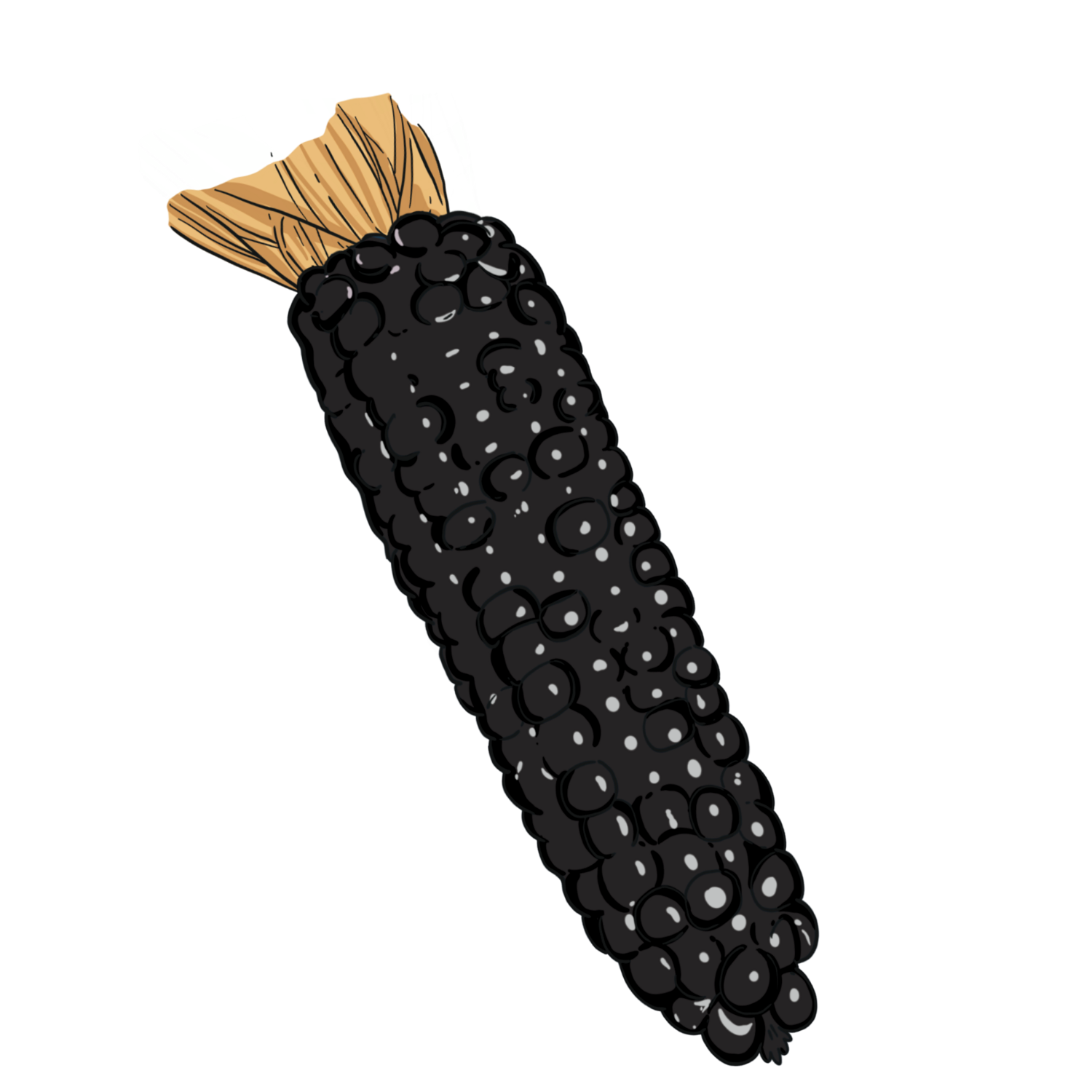 Dakota Black Popcorn
