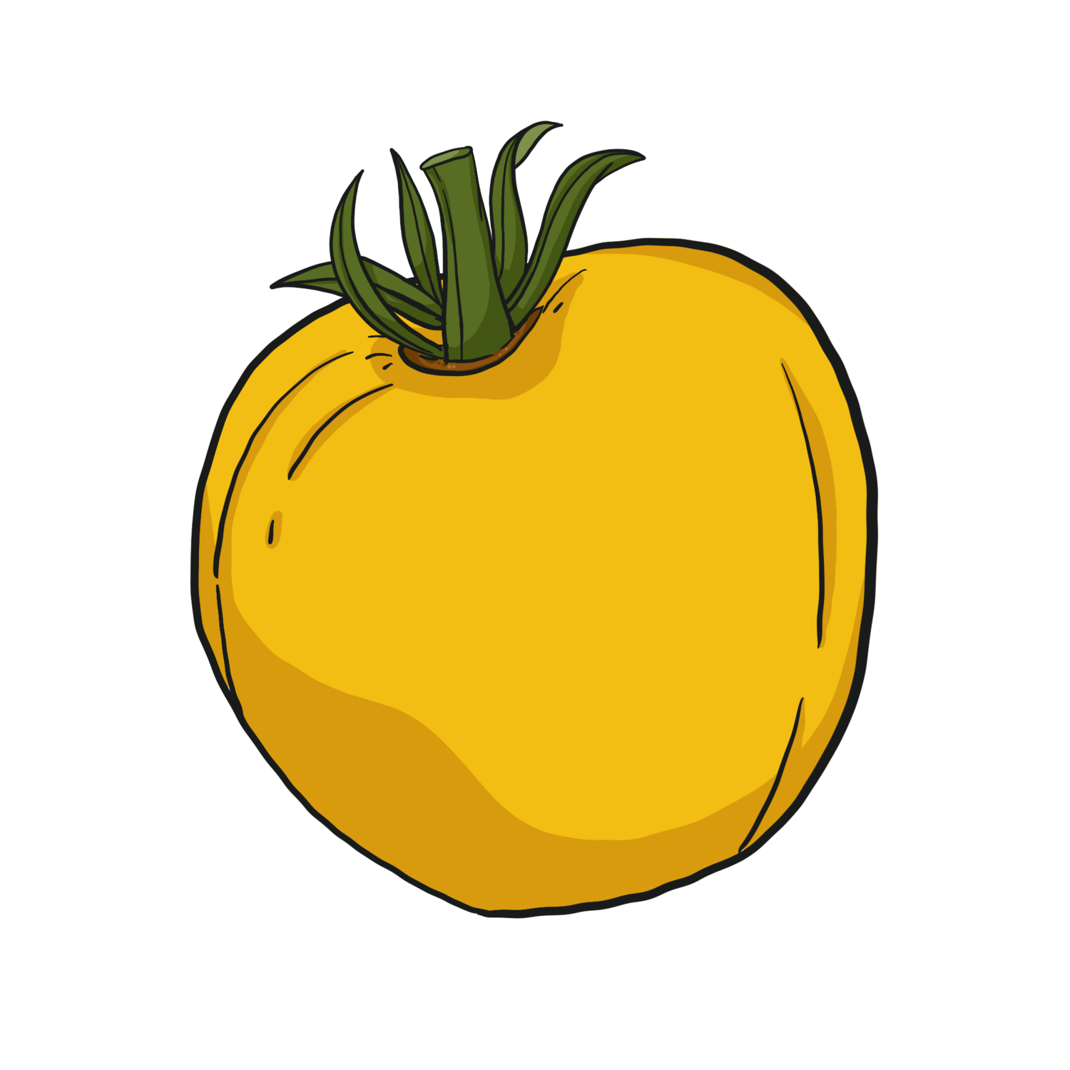 Green Gage Heirloom Tomato