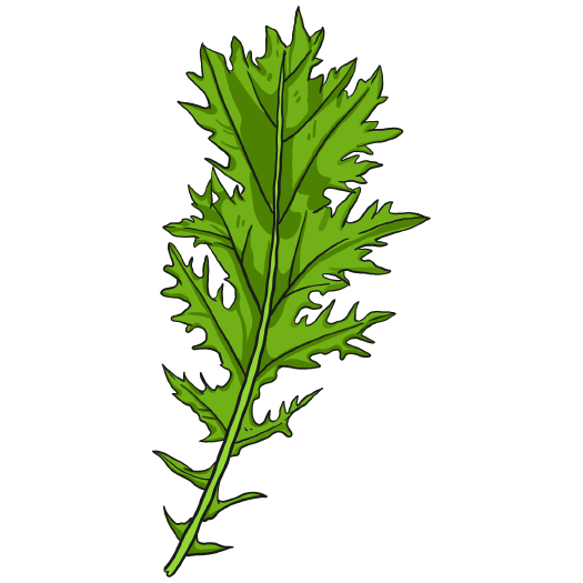 Mizuna