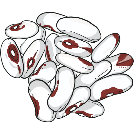 Soldier bush bean