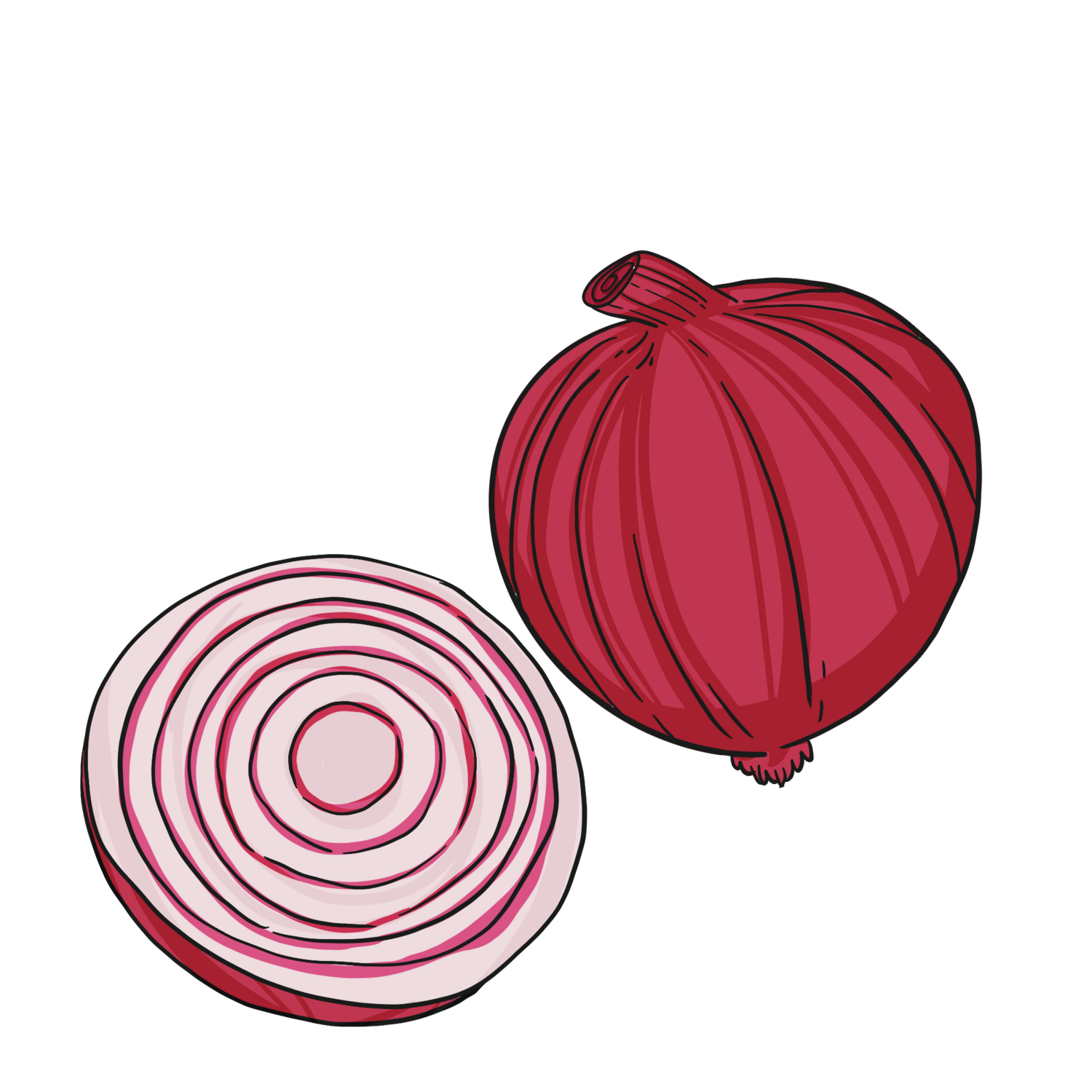 Rossa Di Milano Heirloom Onion