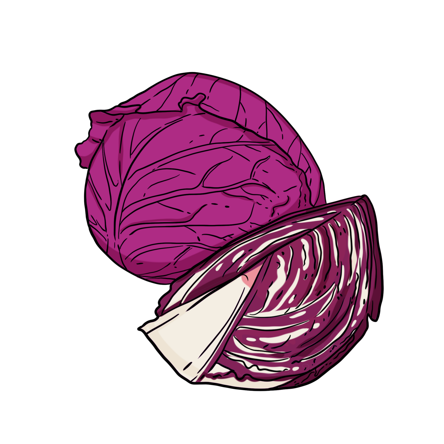 Red Express Cabbage